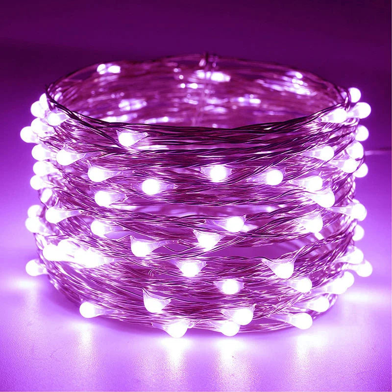 Acosh Neon 20M USB/Battery LED String Lights, Christmas Twinkle Copper and Silver Wire Garland, Waterproof Fairy Lights for Party and Holiday Decorations